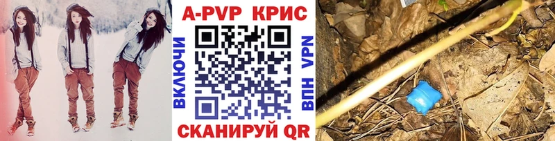 дарнет шоп  Закаменск  A-PVP СК КРИС 
