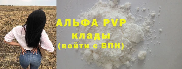 прущие грибы Елизово