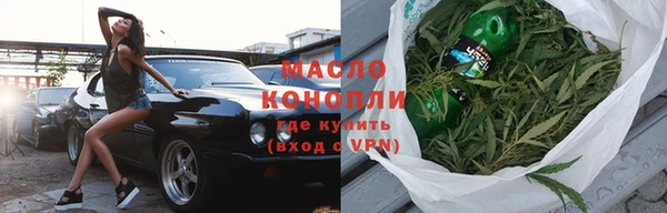 дмт Дубна