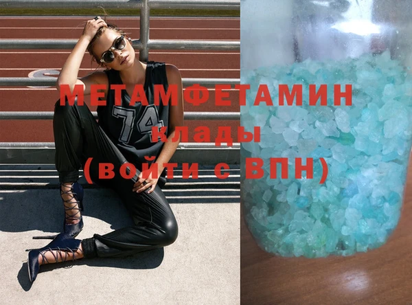 прущие грибы Елизово