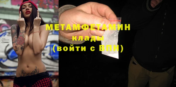 прущие грибы Елизово