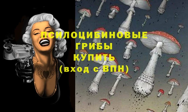 мескалин Елабуга