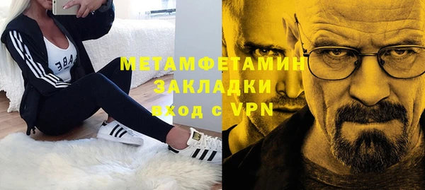 прущие грибы Елизово