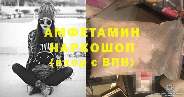 прущие грибы Елизово