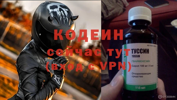 прущие грибы Елизово