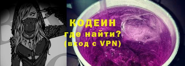 прущие грибы Елизово