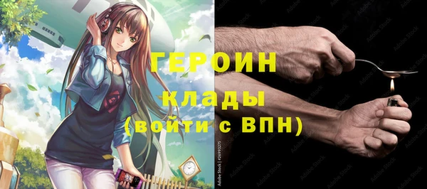 прущие грибы Елизово