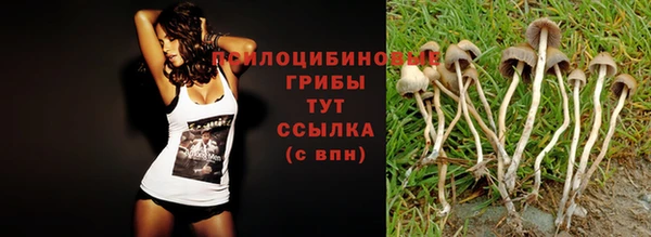 мефедрон мука Ельня