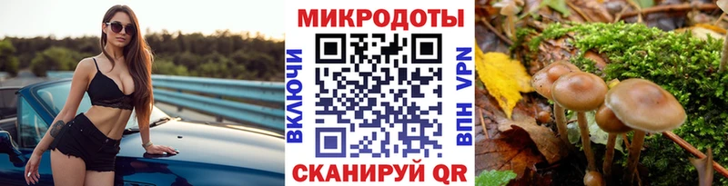 блэк спрут маркетплейс  Закаменск  Псилоцибиновые грибы GOLDEN TEACHER 